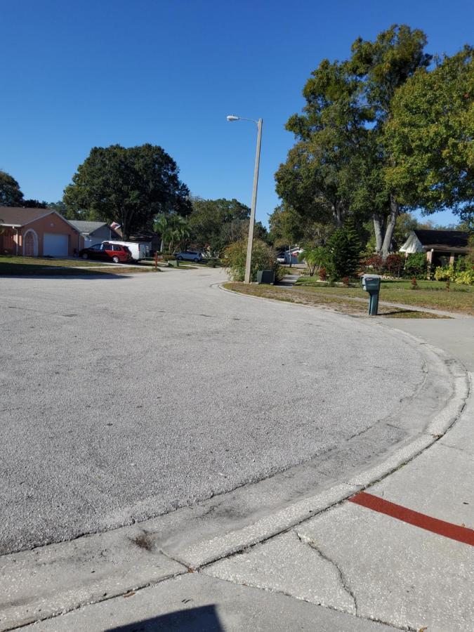 Beautiful Apartment Close To Everything Tampa Exterior foto